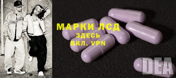 ГАЛЛЮЦИНОГЕННЫЕ ГРИБЫ Балахна